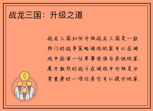 战龙三国：升级之道